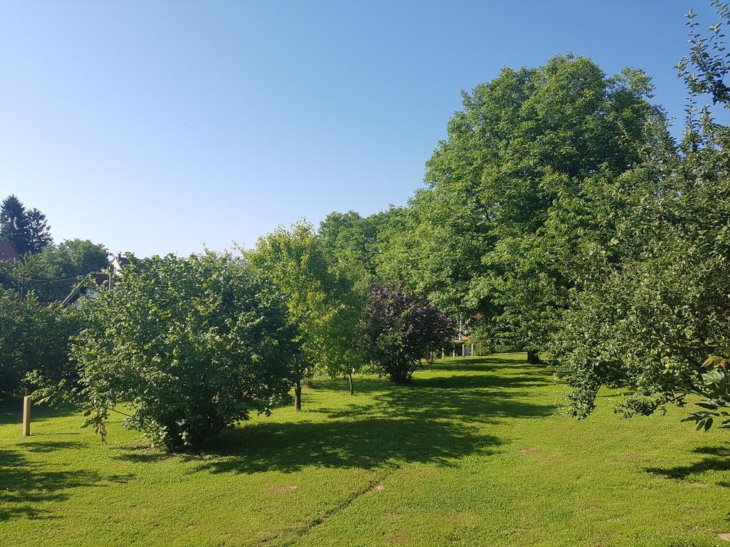 Villa House Wisteria Rakovica Esterno foto